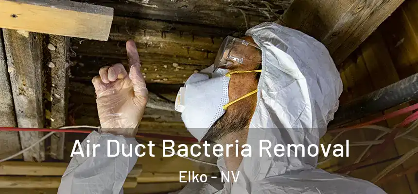 Air Duct Bacteria Removal Elko - NV