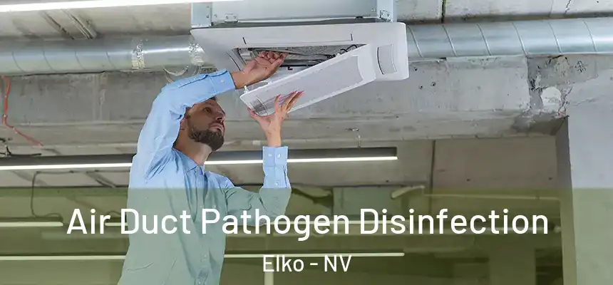  Air Duct Pathogen Disinfection Elko - NV