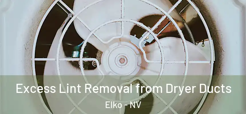 Excess Lint Removal from Dryer Ducts Elko - NV