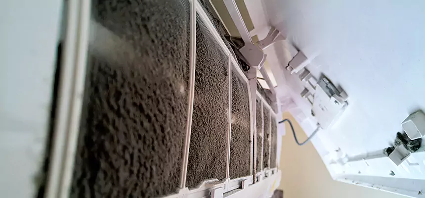 Preventive Air Duct Bacteria Removal in Elko