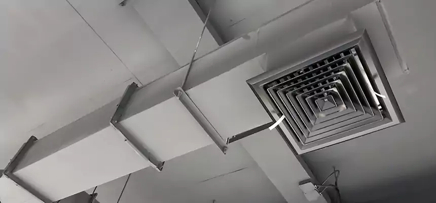 Our Rodent Droppings In Vents Services in Elko, NV