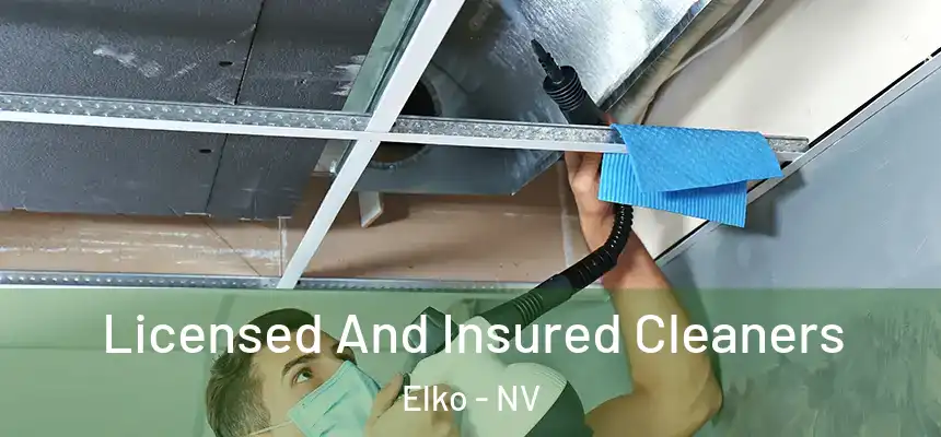 Licensed And Insured Cleaners Elko - NV