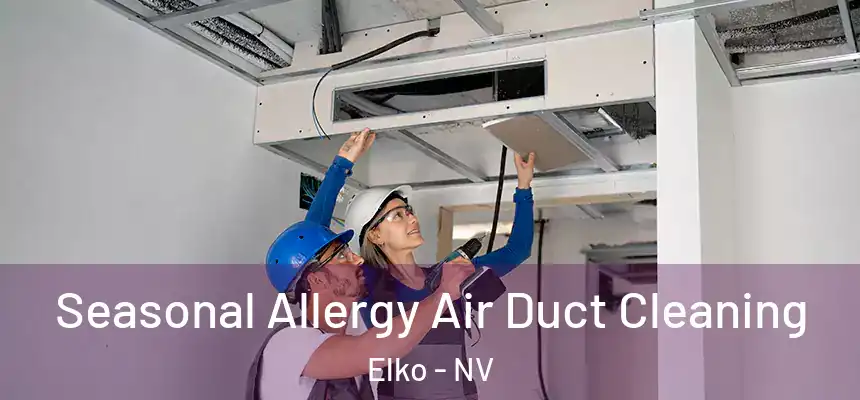 Seasonal Allergy Air Duct Cleaning Elko - NV