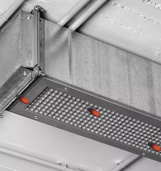 About Air Duct Cockroach Removal in Elko, NV