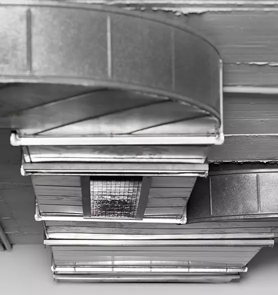 Professional Air Duct Pest Removal in Elko, NV