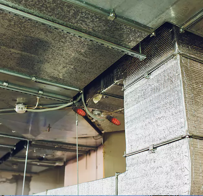 Why Homeowners & Businesses Trust Us Elko, NV?